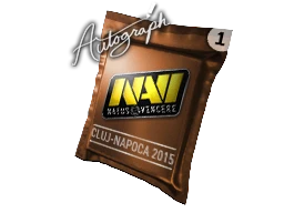 Autograph Capsule | Natus Vincere | Cluj-Napoca 2015 cs go skin