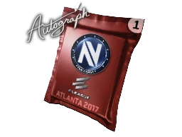 Autograph Capsule | Team EnVyUs | Atlanta 2017 cs go skin