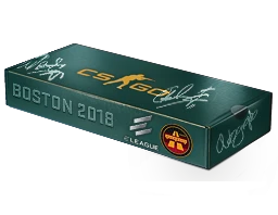 Boston 2018 Overpass Souvenir Package cs go skin