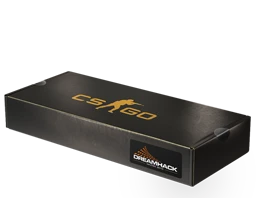 DreamHack 2013 Souvenir Package cs go skin