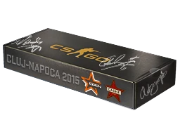 DreamHack Cluj-Napoca 2015 Cache Souvenir Package cs go skin