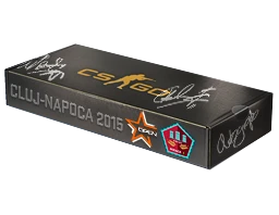 DreamHack Cluj-Napoca 2015 Mirage Souvenir Package cs go skin