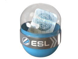 EMS Katowice 2014 Legends cs go skin