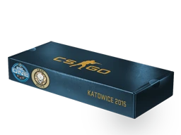 ESL One Katowice 2015 Dust II Souvenir Package cs go skin