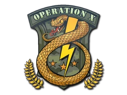 Sticker | Badge of Service cs go skin