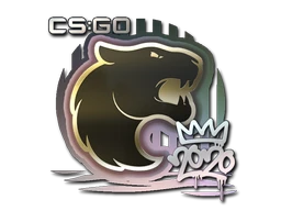 Sticker | FURIA | 2020 RMR cs go skin