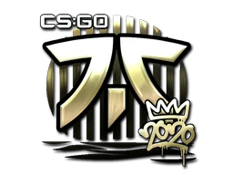 Sticker | Fnatic cs go skin