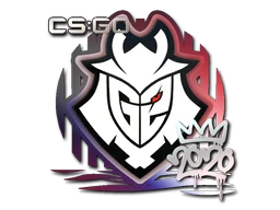 Sticker | G2 | 2020 RMR cs go skin