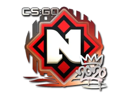 Sticker | Nemiga | 2020 RMR cs go skin