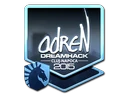 Sticker | AdreN cs go skin