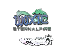 Sticker | woxic cs go skin
