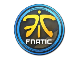 Abțibild | Fnatic | Cologne 2014 cs go skin