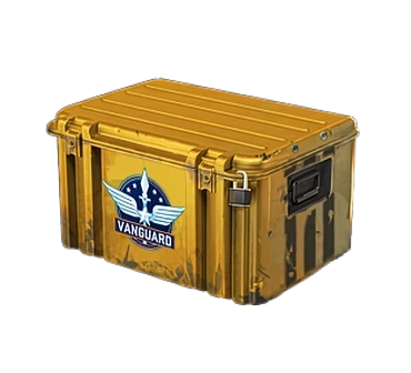 Operation Vanguard Case case cs go