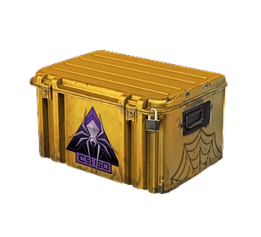Shattered Web Case case cs go