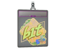 Sticker Slab | b1t (Holo) | Rio 2022 cs go skin