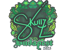 Sticker Slab | skullz | Budapest 2025 cs go skin