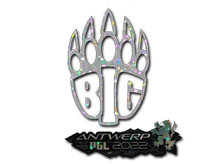 Sticker Slab | BIG (Glitter) | Antwerp 2022 cs go skin