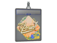 Sticker Slab | ZywOo | Rio 2022 cs go skin