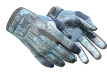 ★ Sport Gloves | Frosty (Well-Worn) cs go skin