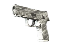 P250 | Sleet (Factory New) cs go skin