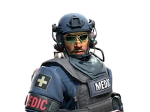 John 'Van Healen' Kask | SWAT cs go skin