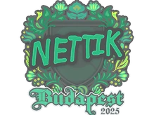 Sticker Slab | nettik | Budapest 2025 cs go skin
