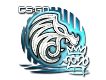Sticker Slab | North (Foil) | 2020 RMR cs go skin