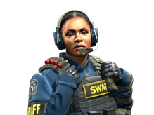 Cmdr. Mae 'Dead Cold' Jamison | SWAT cs go skin