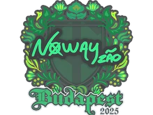 Sticker Slab | noway | Budapest 2025 cs go skin
