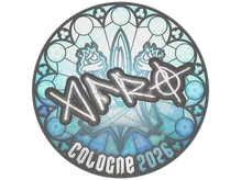 Sticker | afro | Cologne 2026 cs go skin