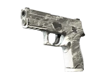 Souvenir P250 | Sleet (Field-Tested) cs go skin
