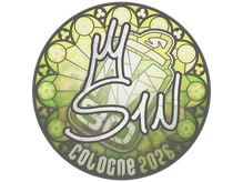Sticker | s1n | Cologne 2026 cs go skin