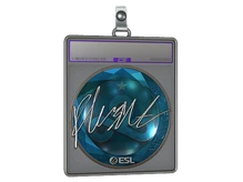 Sticker Slab | flusha (Foil) | Katowice 2019 cs go skin