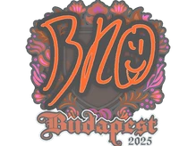 Sticker Slab | br0 | Budapest 2025 cs go skin