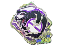 Sticker Slab | Outsiders (Holo) | Rio 2022 cs go skin