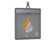 Sticker Slab | Copenhagen Flames (Glitter) | Antwerp 2022 cs go skin