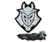 Sticker Slab | G2 Esports (Glitter) | Antwerp 2022 cs go skin
