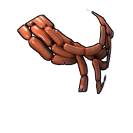 Sausages Poncho cs go skin