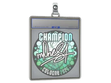 Sticker Slab | m0NESY (Champion) | Cologne 2026 cs go skin