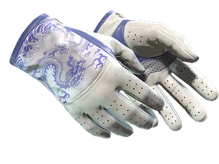 ★ Driver Gloves | Wave Chaser (Minimal Wear) cs go skin