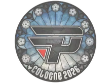 Sticker | paiN Gaming | Cologne 2026 cs go skin