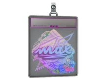Sticker Slab | max (Holo) | Rio 2022 cs go skin