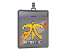Sticker Slab | Fnatic (Holo) | Katowice 2015 cs go skin