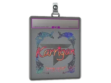 Sticker Slab | karrigan (Holo) | Austin 2025 cs go skin