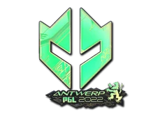 Sticker Slab | Imperial Esports (Holo) | Antwerp 2022 cs go skin
