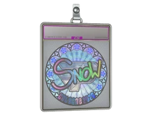 Sticker Slab | snow (Holo) | Cologne 2026 cs go skin