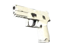 Souvenir P250 | Whiteout (Field-Tested) cs go skin