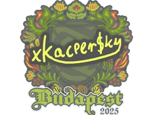 Sticker Slab | xKacpersky | Budapest 2025 cs go skin