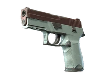 Souvenir P250 | Copper Oxide (Minimal Wear) cs go skin
