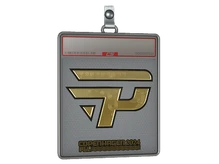 Sticker Slab | paiN Gaming (Gold) | Copenhagen 2024 cs go skin